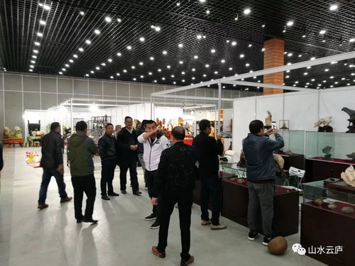 石韻啟新程——黃山玉石協(xié)會(huì)訪紹興奇石展與文化傳承之謀